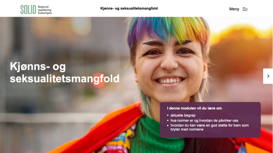 Beskyttet: Fordypning: For deg som jobber med fosterhjem